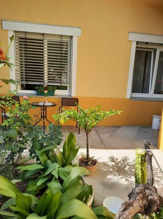Ignim 2 Apartment Subotica Exterior foto